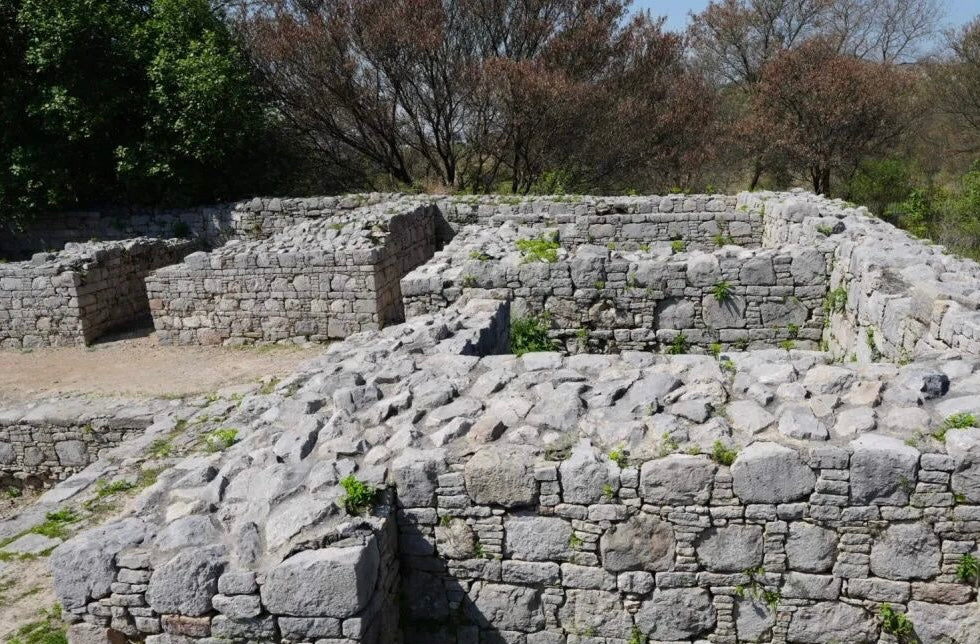 Chapter 7: Gandhara in The Great Tang Records on the Western Regions - wei.antique