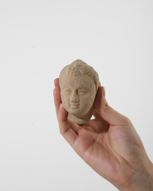 Gandhara Art Buddha Head|Sacred Tranquility - wei.antique