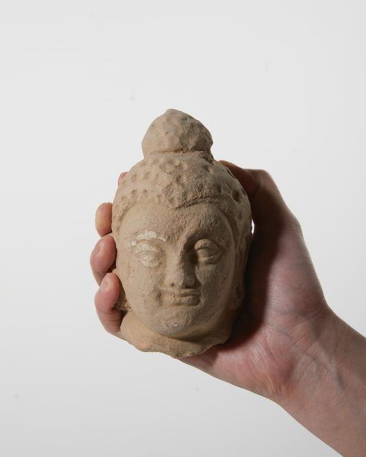 Divine Faces of Gandhara|Stucco Legacy - wei.antique