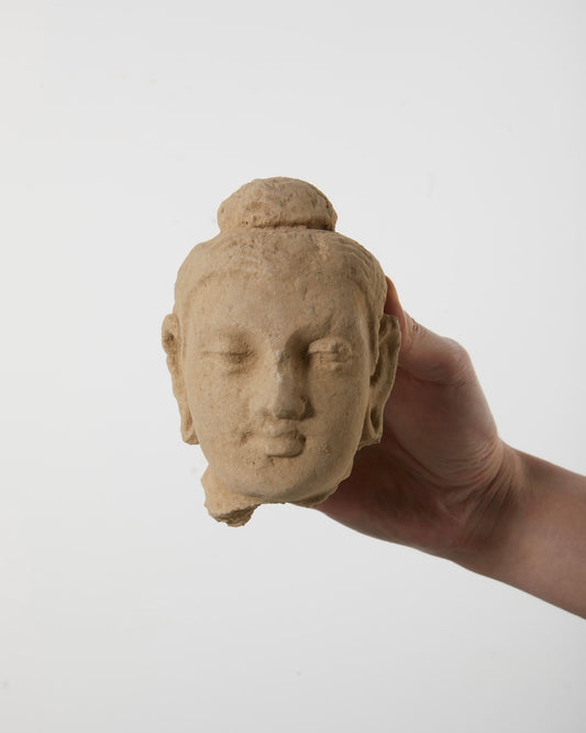 Gandhara Stucco Buddha Head|Timeless Serenity - wei.antique