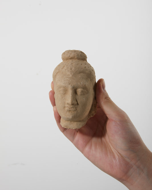 Gandhara Art 
Countenance of Wisdom｜Eternal and Unfading - wei.antique