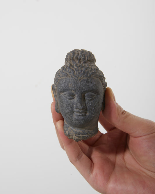 Gandhara Art 
Echoes of Antiquity｜The Immortal Buddha - wei.antique