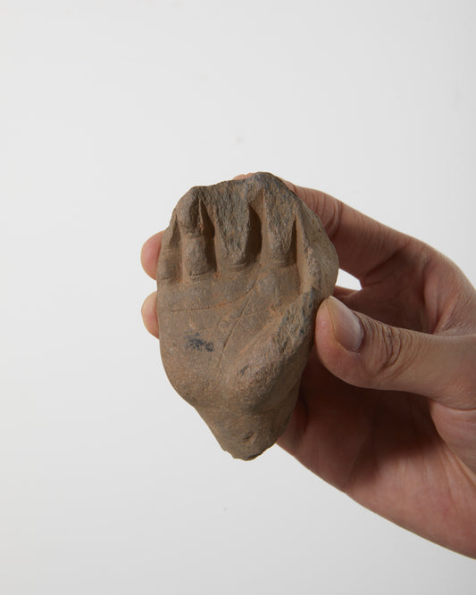Gandhara Art 
Buddha Hand｜Millennia of Compassion in Every Finger - wei.antique